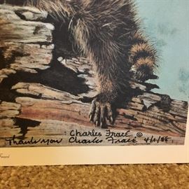 CHARLES FRACE  "RACCOON, Procyon lotor" Signed 4/1/88