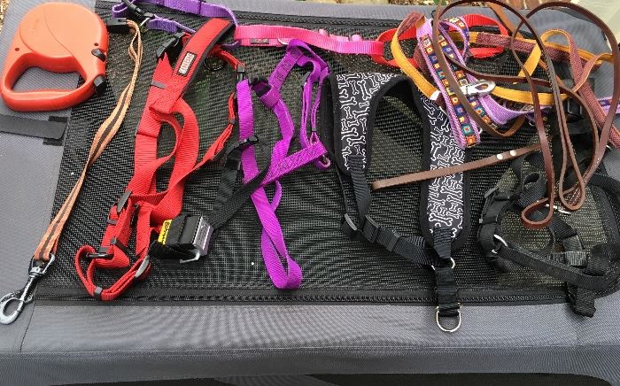 LEASHES, COLLARS & HARNESSES