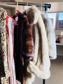 Furs in very good condition
