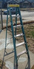 6ft Electro Master Ladder