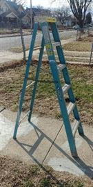 6ft Electro Master Ladder