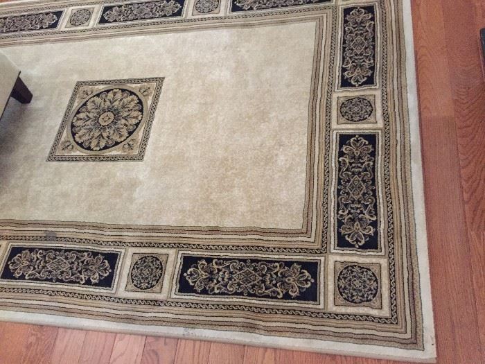 Area rug / in great condition!
