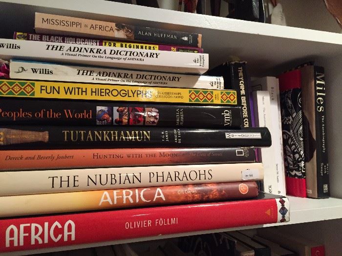 Books on Africa.