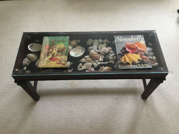 Shell Display Table, Books https://www.ctbids.com/#!/description/share/7813