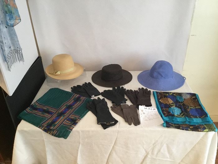 Assorted Hats, Gloves, & Scarves  https://www.ctbids.com/#!/description/share/7751