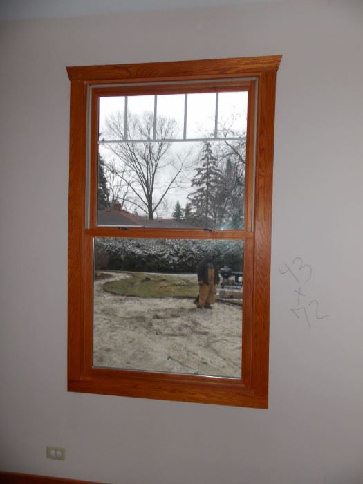 New senco double hung  mission style windows oak