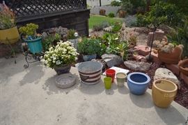 Plants and pots, not all for sale