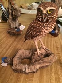 James Eddlemann "Pigmy Owl"