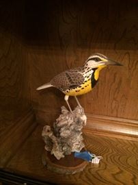 Jamed Eddlemann "Yellow Breasted Foal"