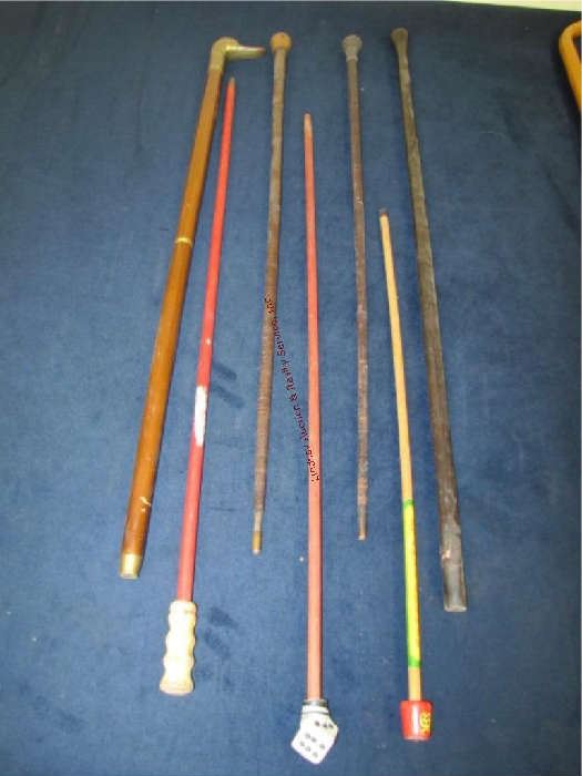 19  walking sticks