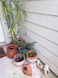 Plants and Planters:  $3.00-15.00