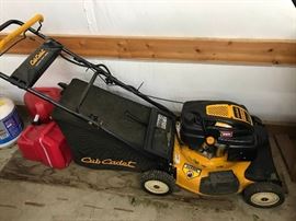 Cub Cadet Lawn Mower