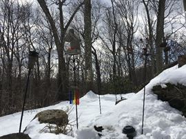 Bird Feeders and outdoor ornamentals