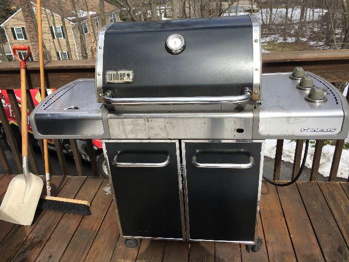Weber grill EP320