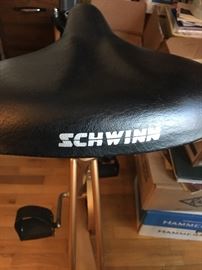 Schwinn exercise bike