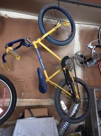 TRAX 1000 bike