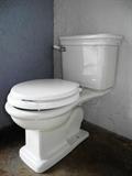 Devon & Devon Toilet