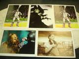 5 WIZARD OF OZ POSTERS - 2 Tin Man, Cowardly Lion, Dorothy & Wicked Witch of the West. The back side has information on the Actors/Actresses