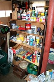 Chemicals and garage items