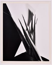 Lot #32 Imogen Cunningham Pencil Signed Silver Gelatin Print of Agave Design I with a Starting Bid of $1,000