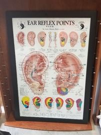 Framed Medical/Acupuncture Prints