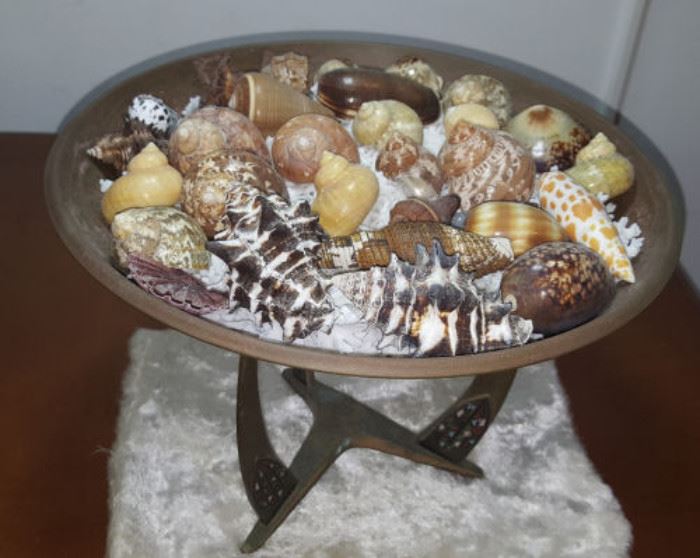 FKT070 Copper Plate with Real Sea Shells Cowry, Cones & More
