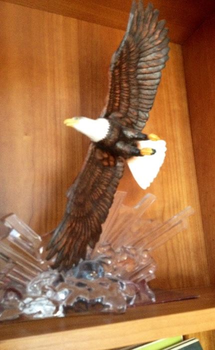 Soaring eagle
 $20
