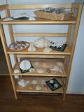 Collection of shells.