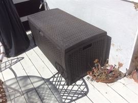 Outdoor storage trunk