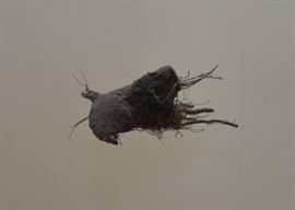 Contemporary Art Sculpture / Mobile (Bird Cage & Bird)