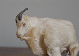 Vintage Wind Up Toys