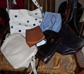 CoachPurses