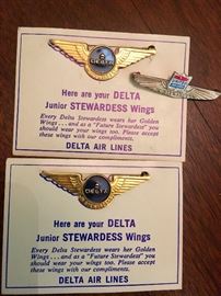Delta stewardess wings for passengers 