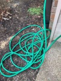 green garden hose