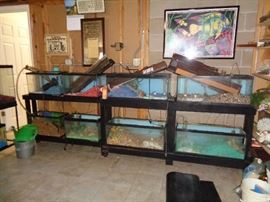 many aquariums & supplies