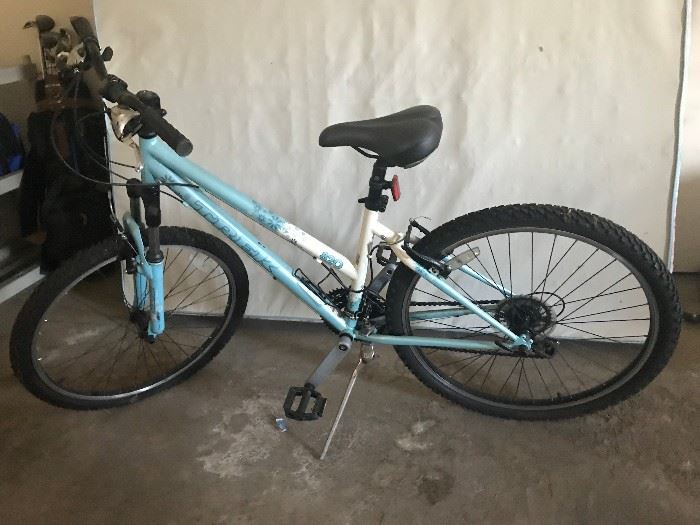 Trek 820 Woman's Bicycle