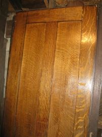 Close up of the tiger oak