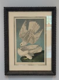 -after John James Audubon ‘Iceland or Jer Falcon’ Chromolithograph No.13-2 Plate #19 circa 1860..