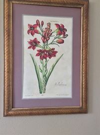 Framed Floral Print.