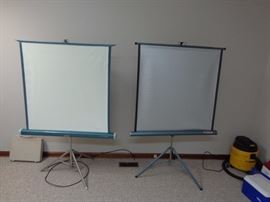 Aurora Projector Screen, Radiant Picture Master