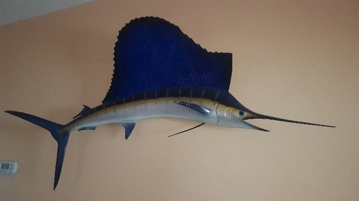Sail Fish approx 50" Tall x 84" Wide. Molded from a real fish according to the owner