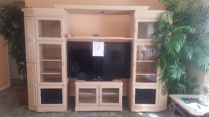 Lighted Entertainment Center/Wall Unit