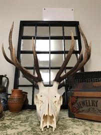 Elk Rack, Skull
