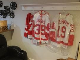 Detroit Red Wings jerseys and collectibles.