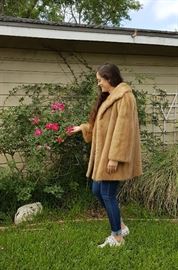 Emba the American Mink