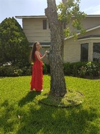 Morton Myles, New York