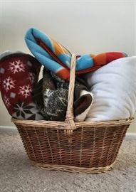 Basket with throw blankets