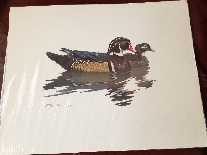 Richard Sloan Duck Print Set--Sealed Original Package