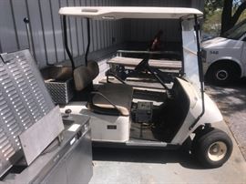Electric Golf Cart