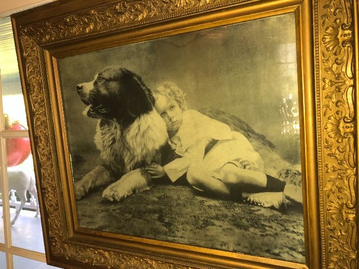 Vintage Dog Photograph